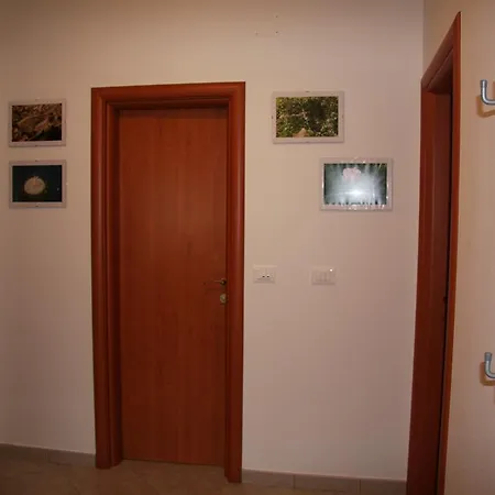 Apartment Anethum Premantura Exterior photo
