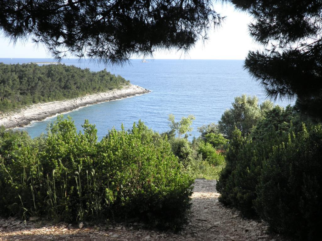 Apartment Anethum Premantura